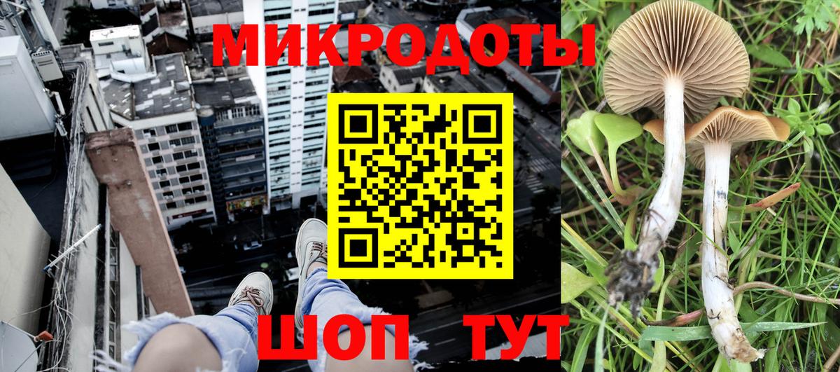 Галлюциногенные грибы ЛСД Усть-Илимск